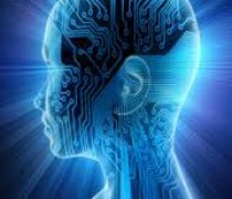 What is Irlen Syndrome / Scotopic Sensitivity Syndrome (SSS)? brains